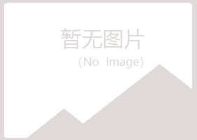 大安夏岚建筑有限公司